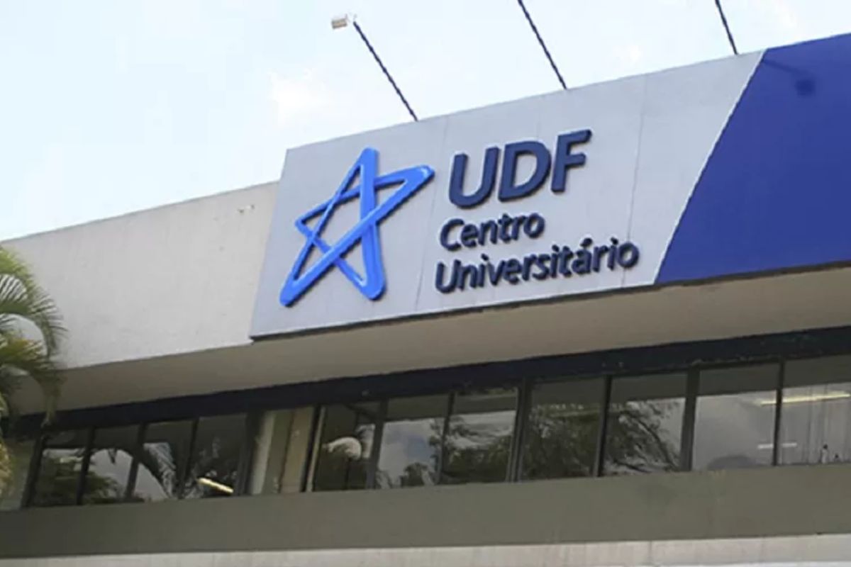 Imagem da entrada da UDF